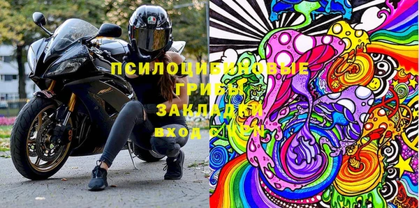 ПСИЛОЦИБИНОВЫЕ ГРИБЫ Михайловск